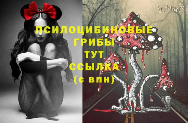 ALPHA-PVP Верея