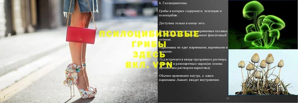 2c-b Верхний Тагил