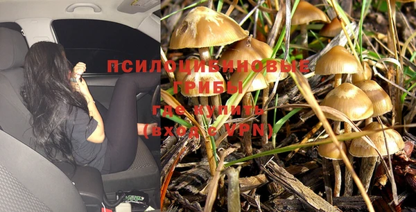 ALPHA-PVP Верея