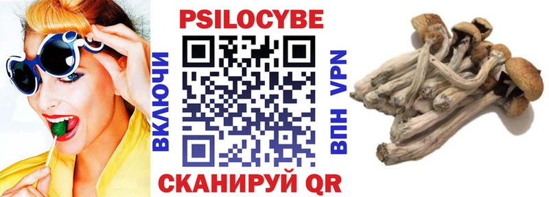 Псилоцибиновые грибы GOLDEN TEACHER  сколько стоит  Дивногорск 